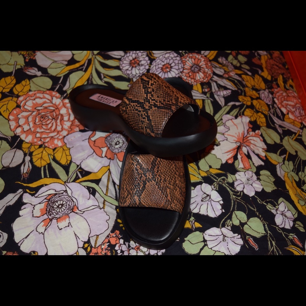 Vintage American Eagle Slides